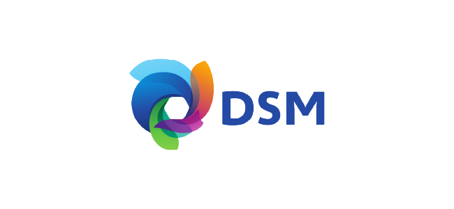 DSM cópia